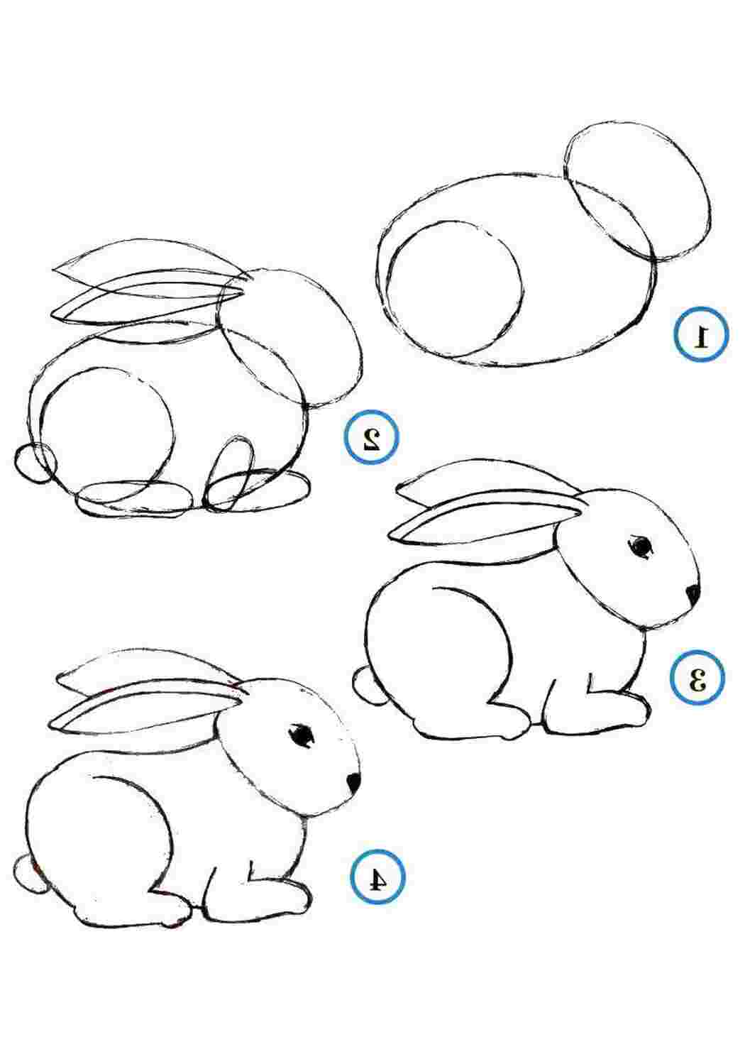 Простой рисунок зайца карандашом поэтапно
