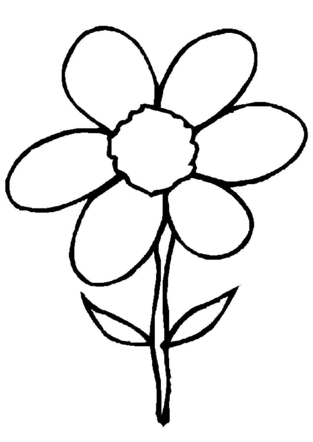 Раскраска Ромашка