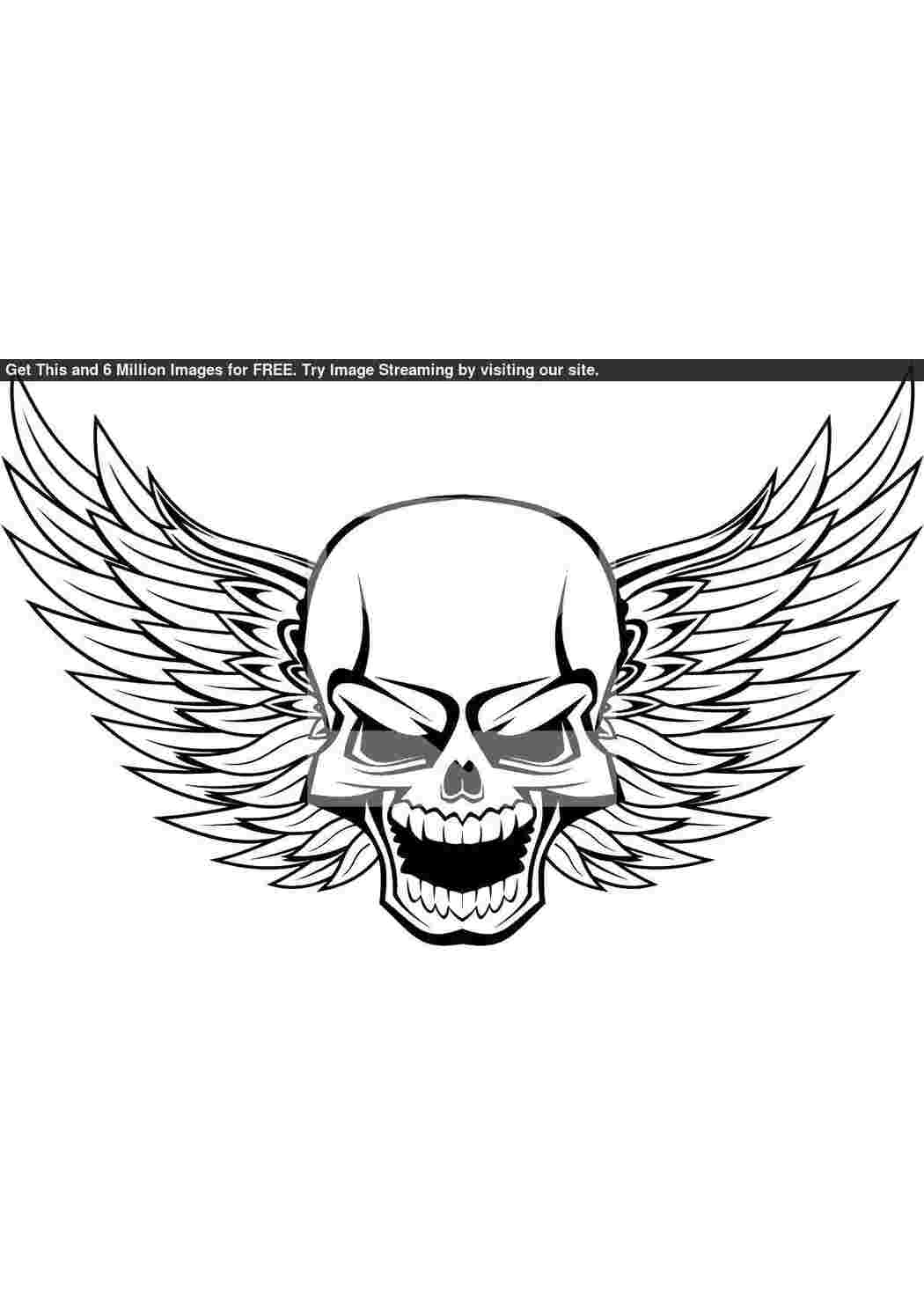 Раскраска Череп