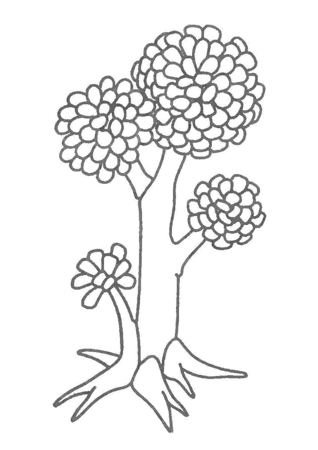 Раскраска Волшебное дерево