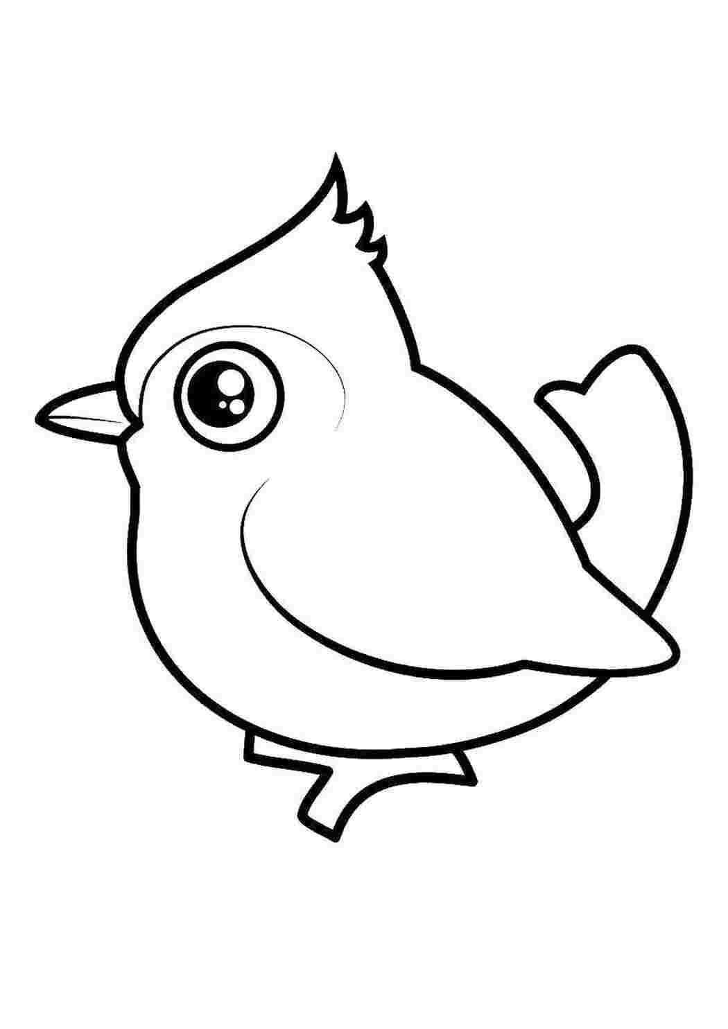 Раскраска Птица