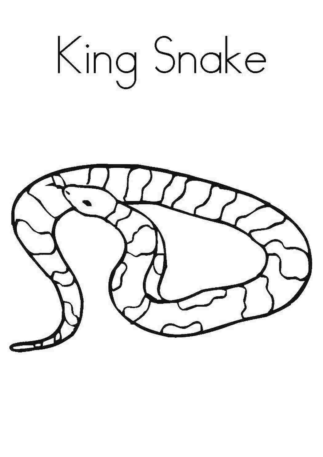 Раскраска Змея