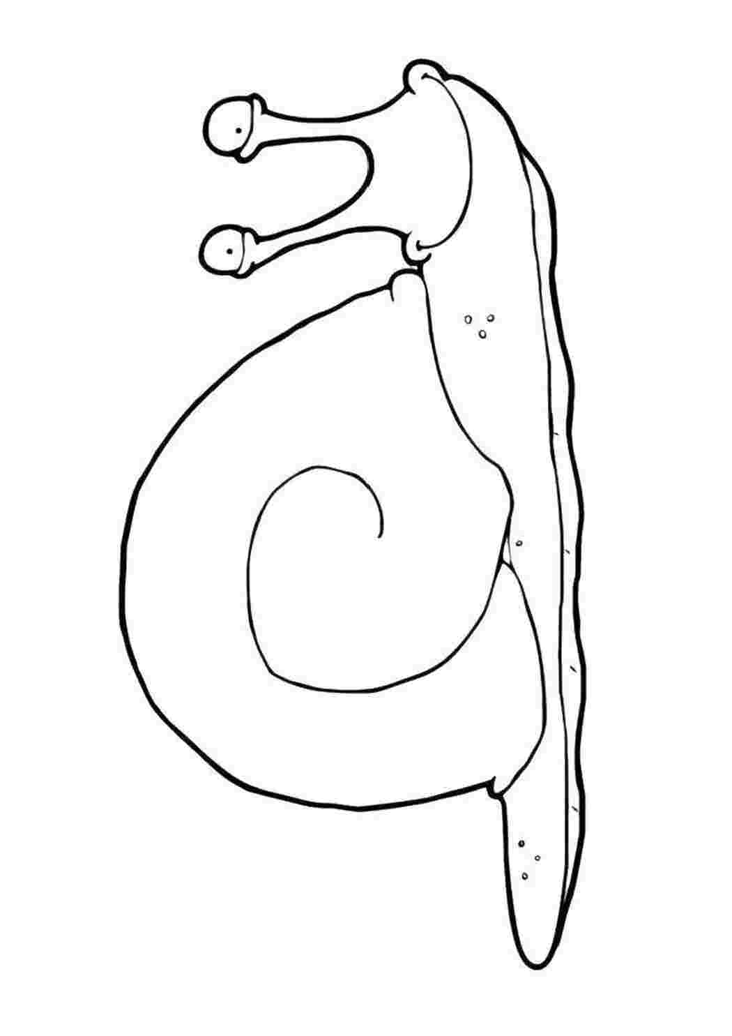 Раскраска Счастливая улитка