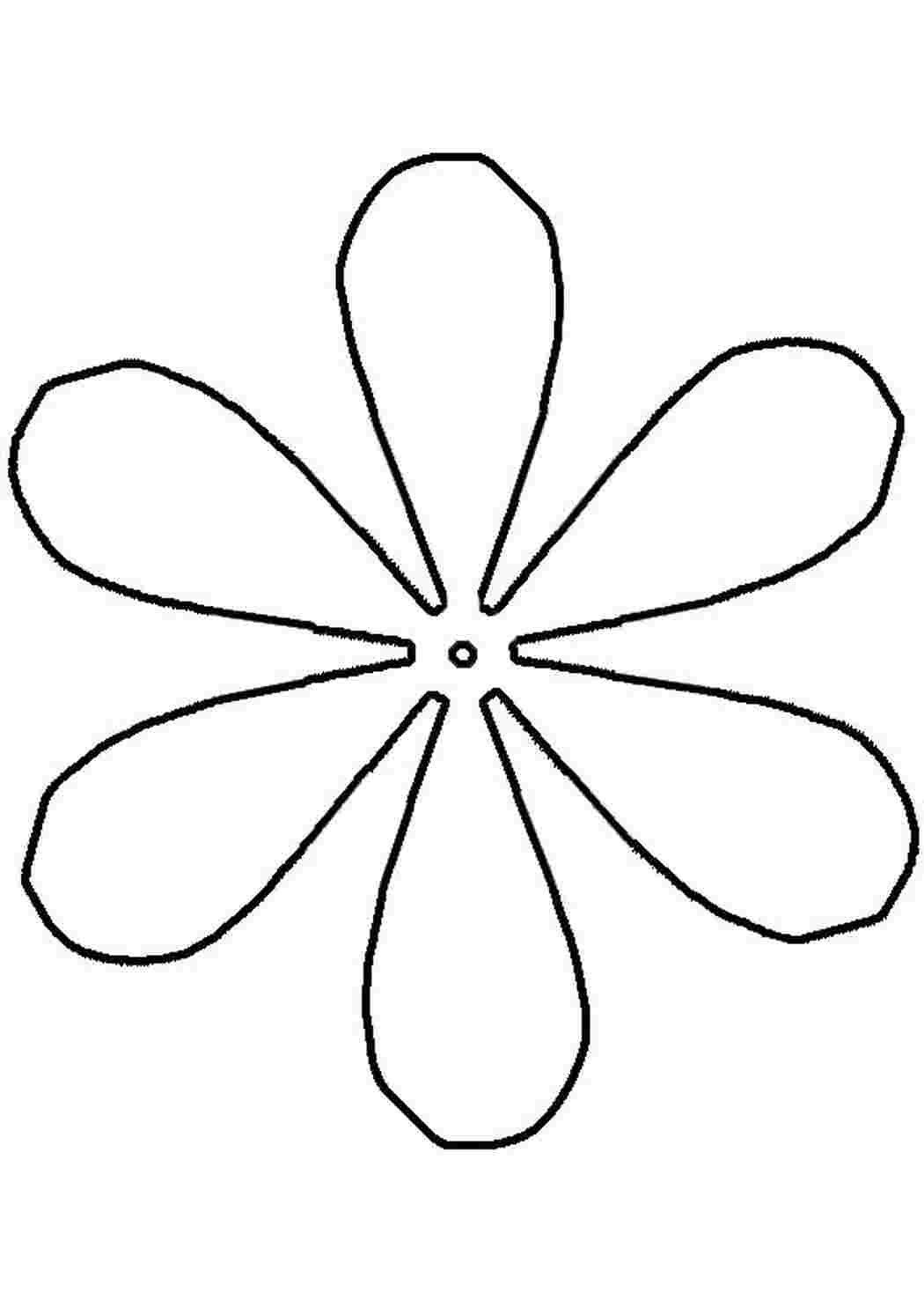 Трафарет цветка с 5 лепестками