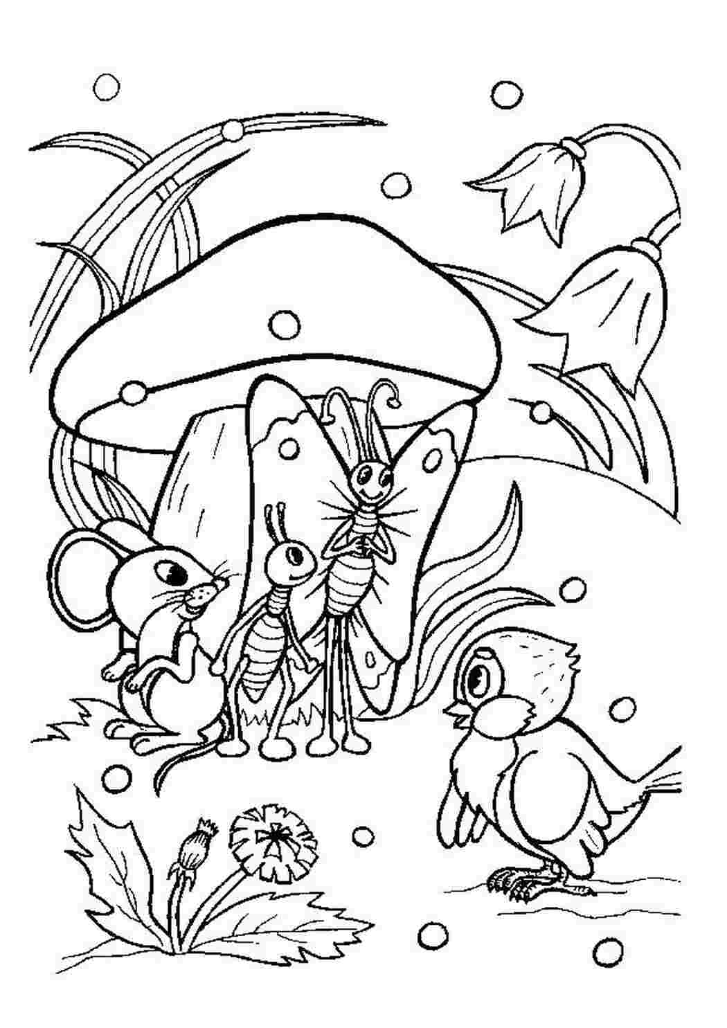 Раскраска Все хотят под гриб