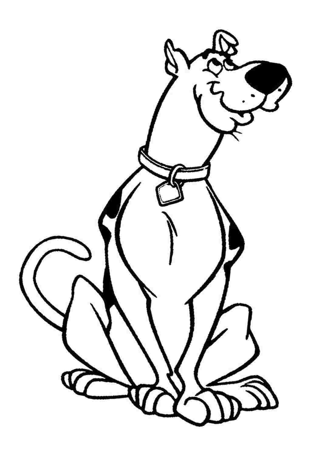 Раскраска Милый Скуби Ду