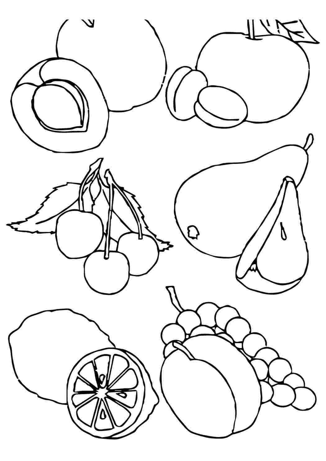 Рисунки плодов и ягод
