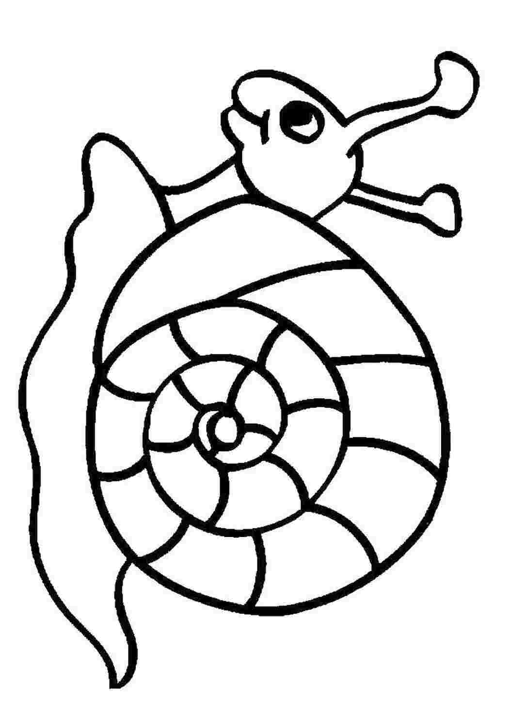 Раскраска Улитка