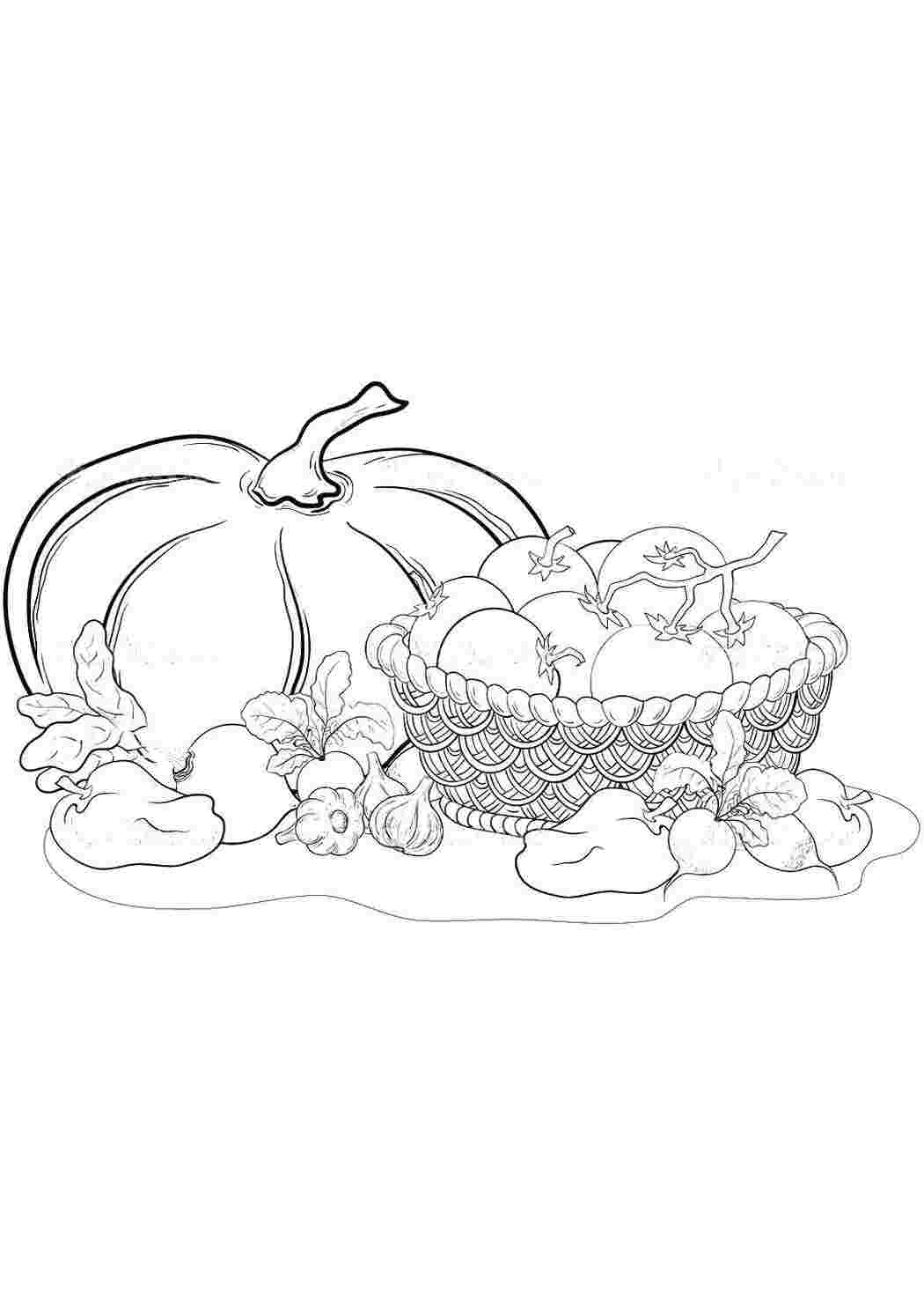 Раскраска Урожай