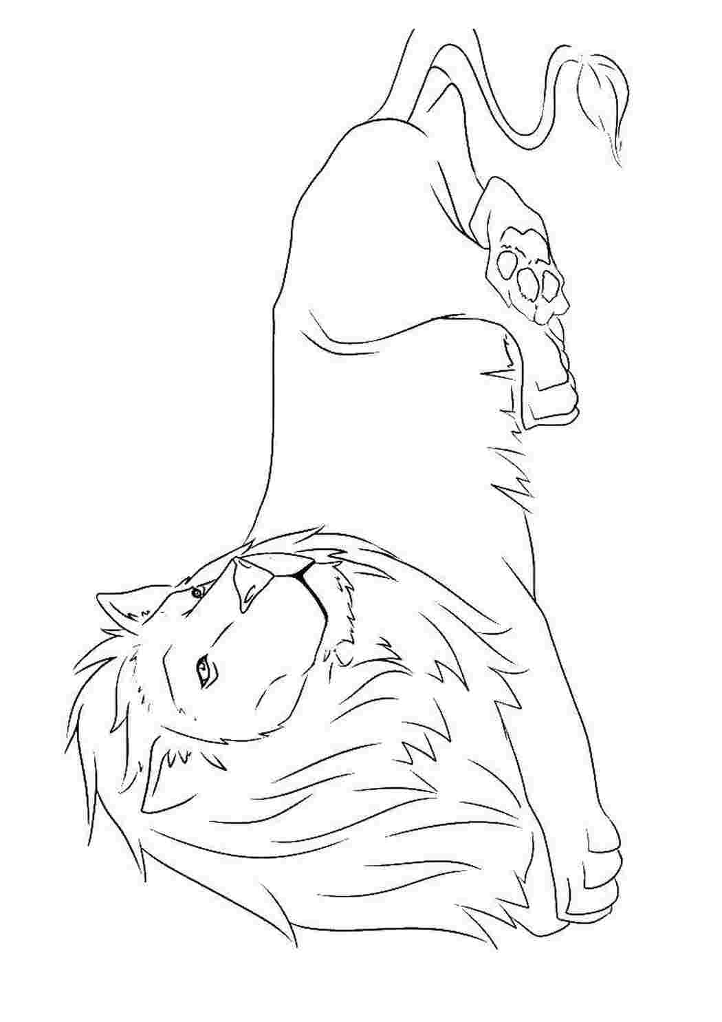 Раскраска Лев