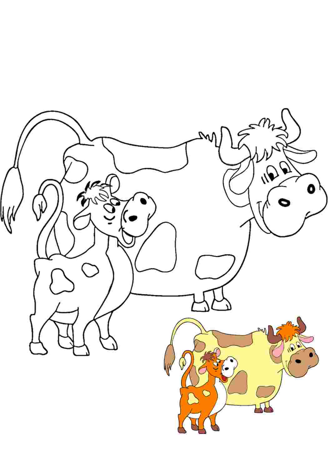 Семья коров раскраска