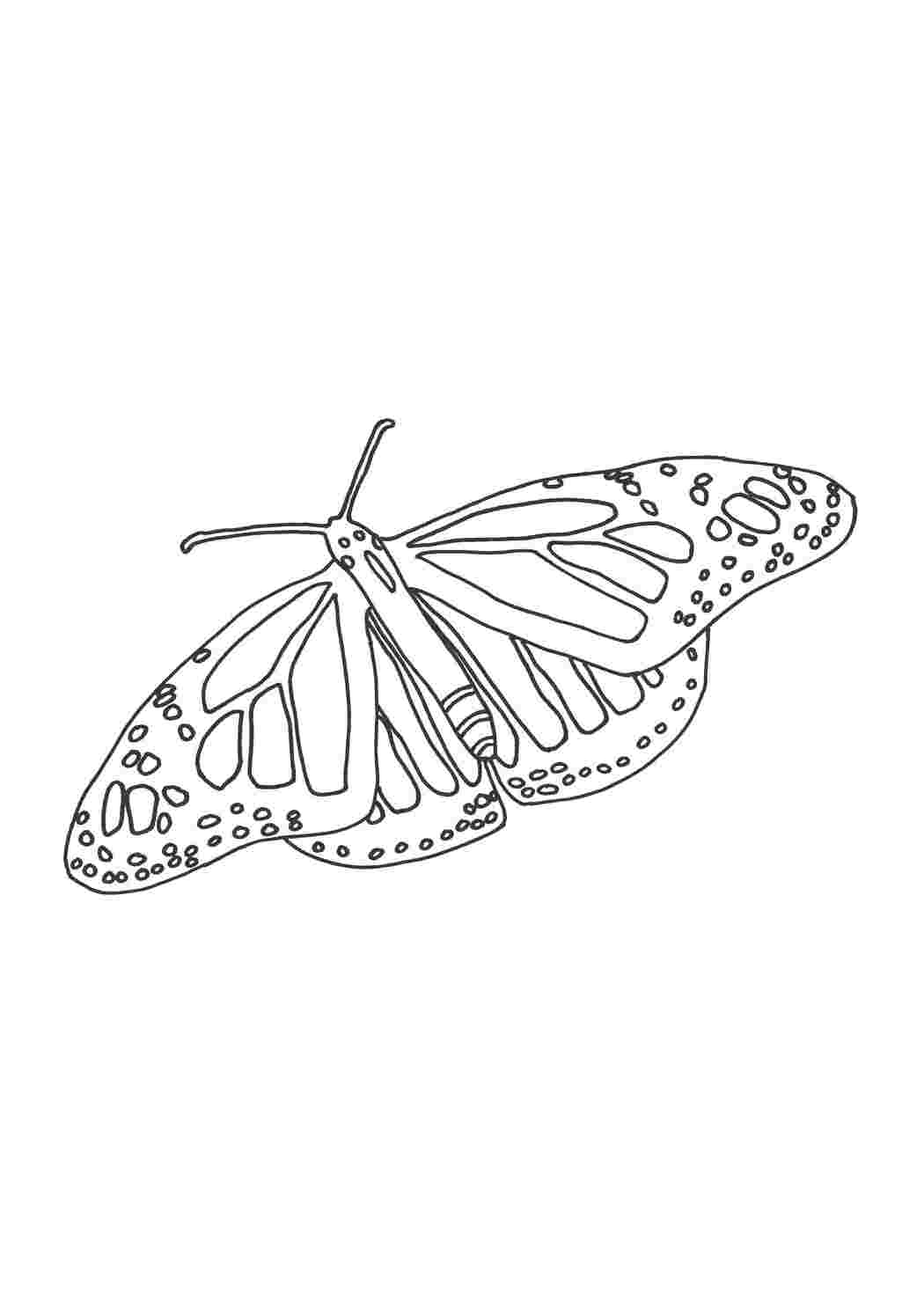 Раскраска Пархающая бабочка