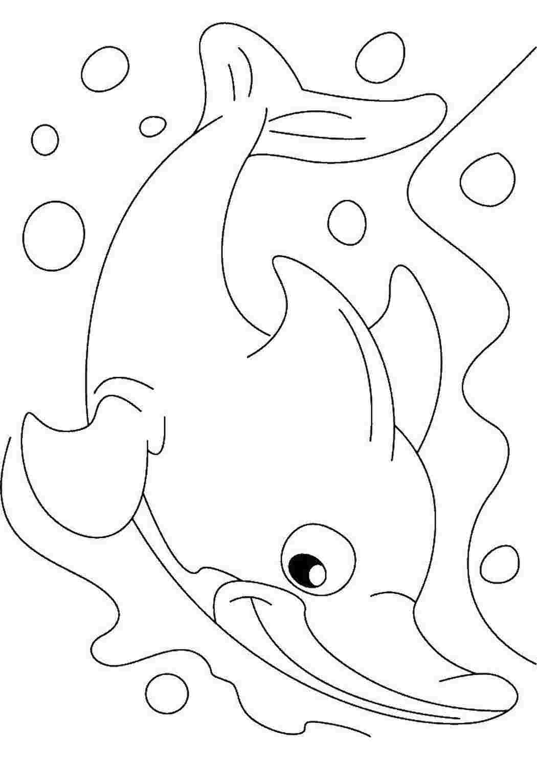 Раскраска Дельфин