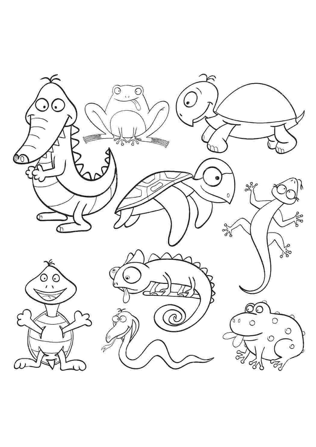 Раскраска Забавные животные