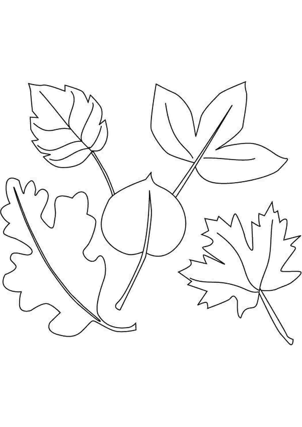 Раскраска листики