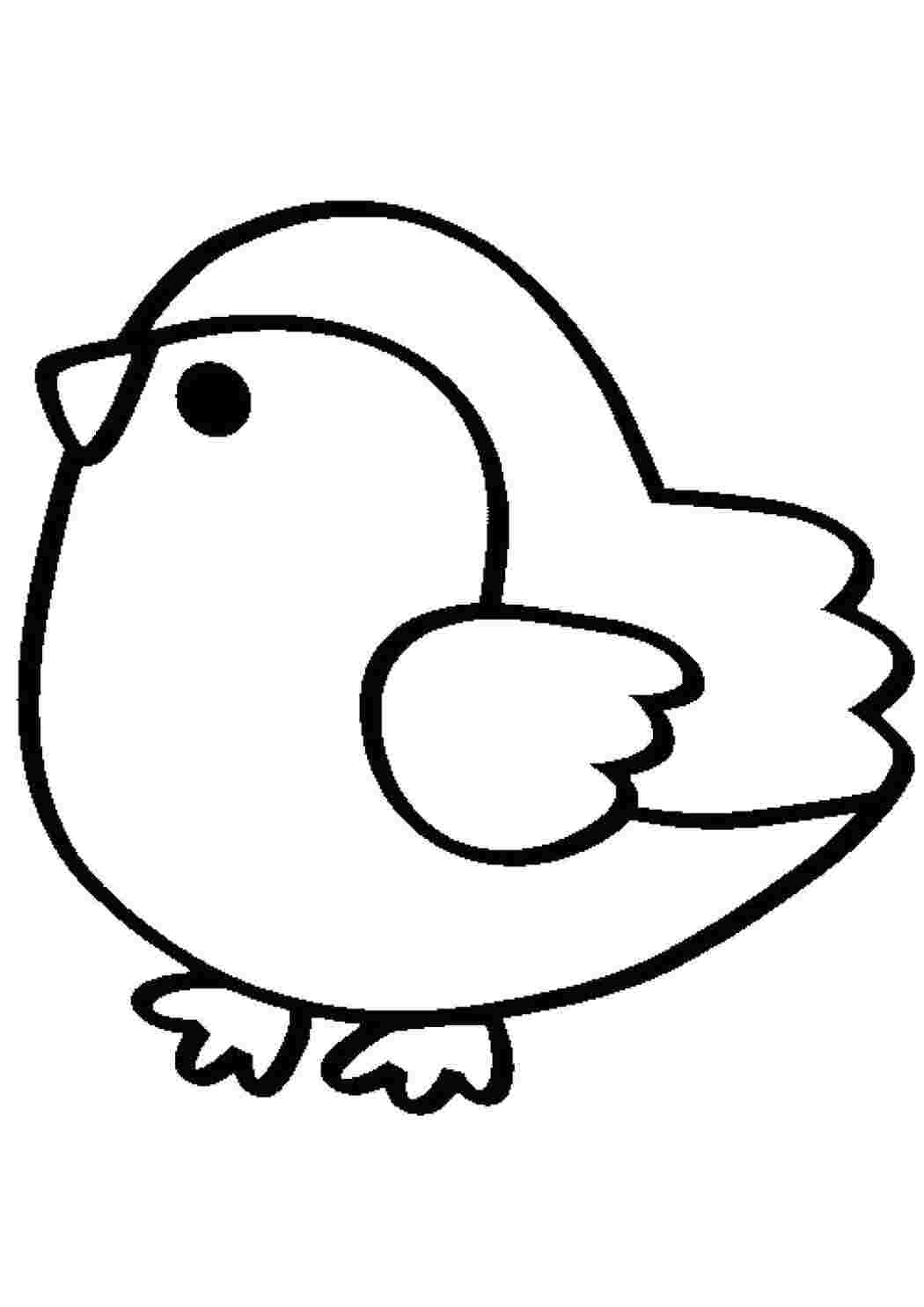 Раскраска Цыпленок. 