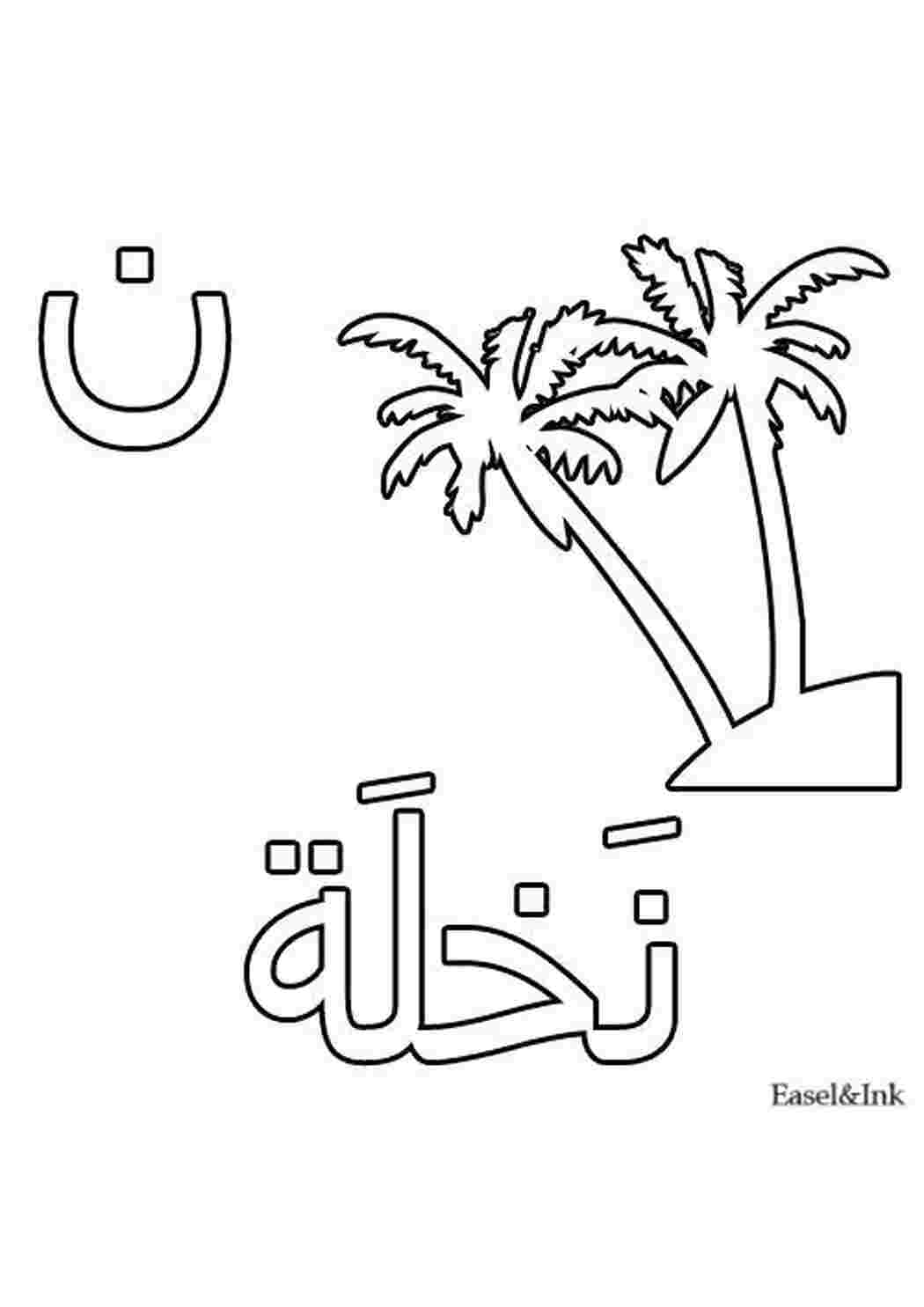 Раскраска Пальма
