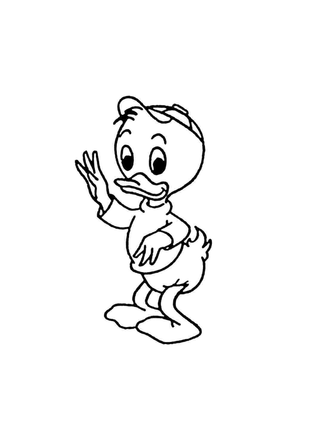 Раскраска Племянник Дональда