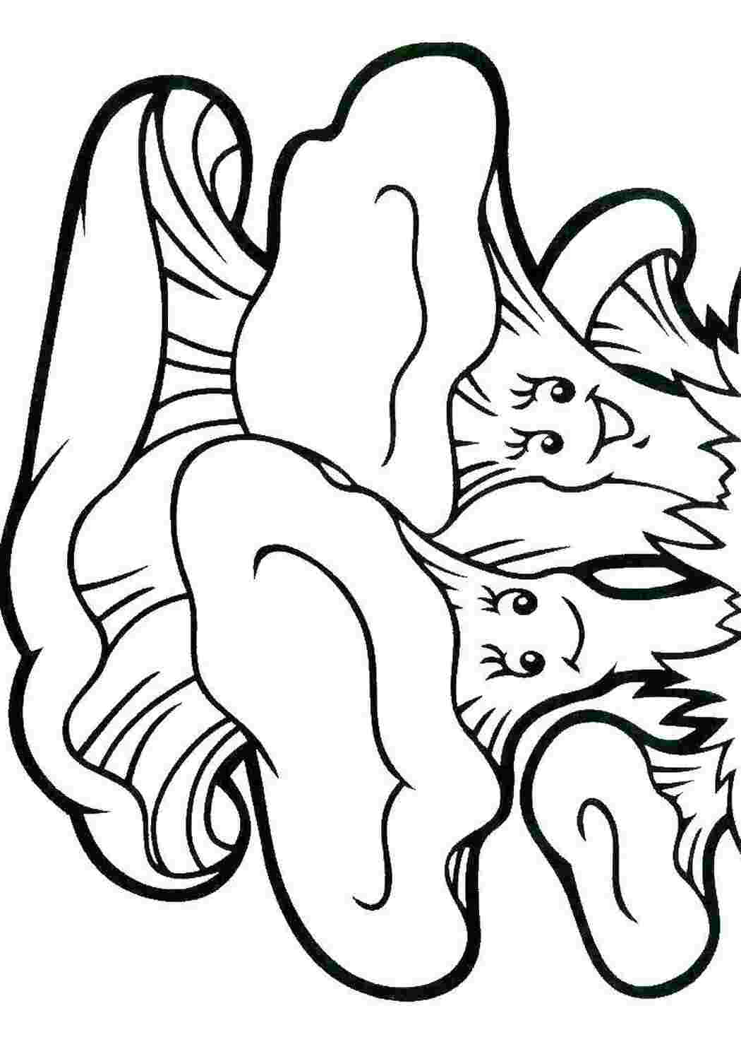 Раскраска Грибы