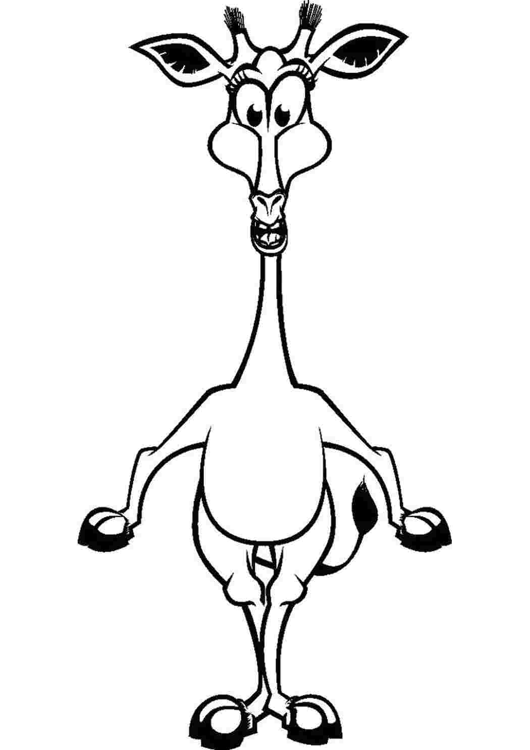 Раскраска Антилопа