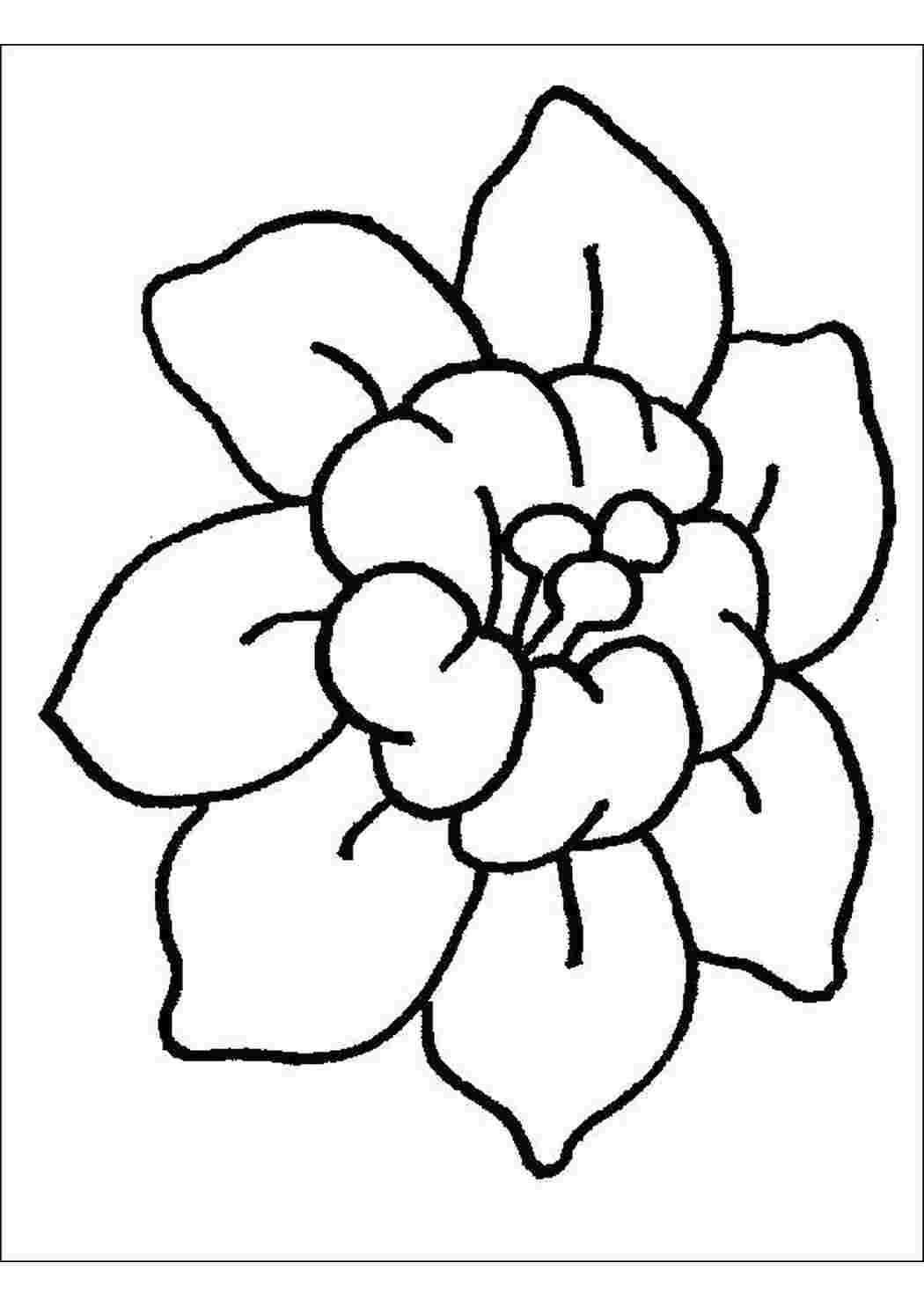 Раскраска Цветок