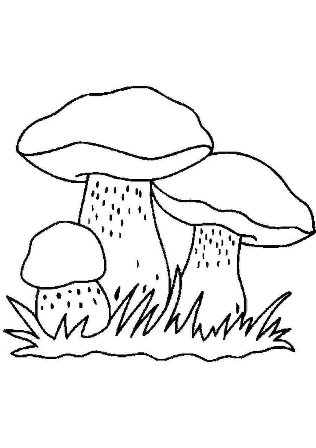 Раскраска Грибы