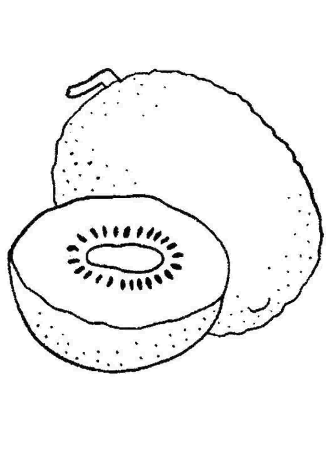 Раскраска Киви