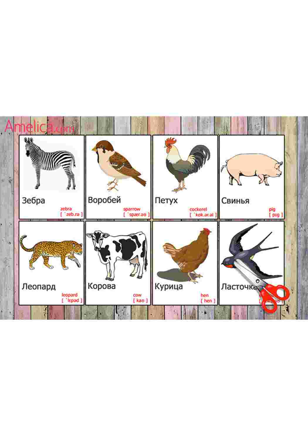 Раскраска карточка диких птиц 