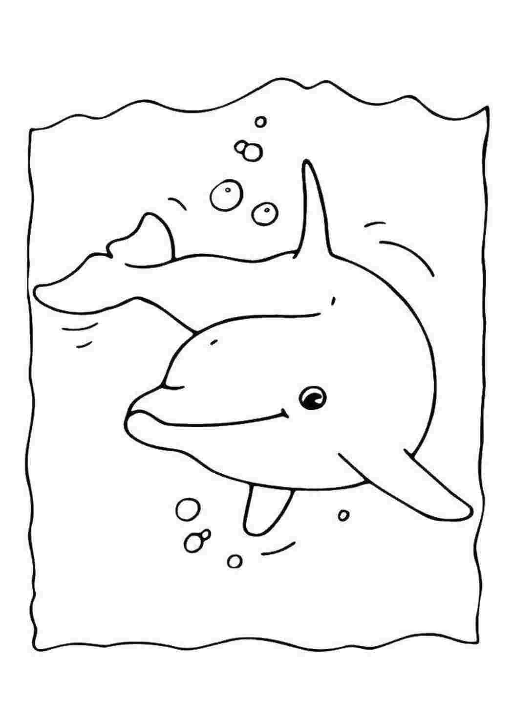 Раскраска Дельфин