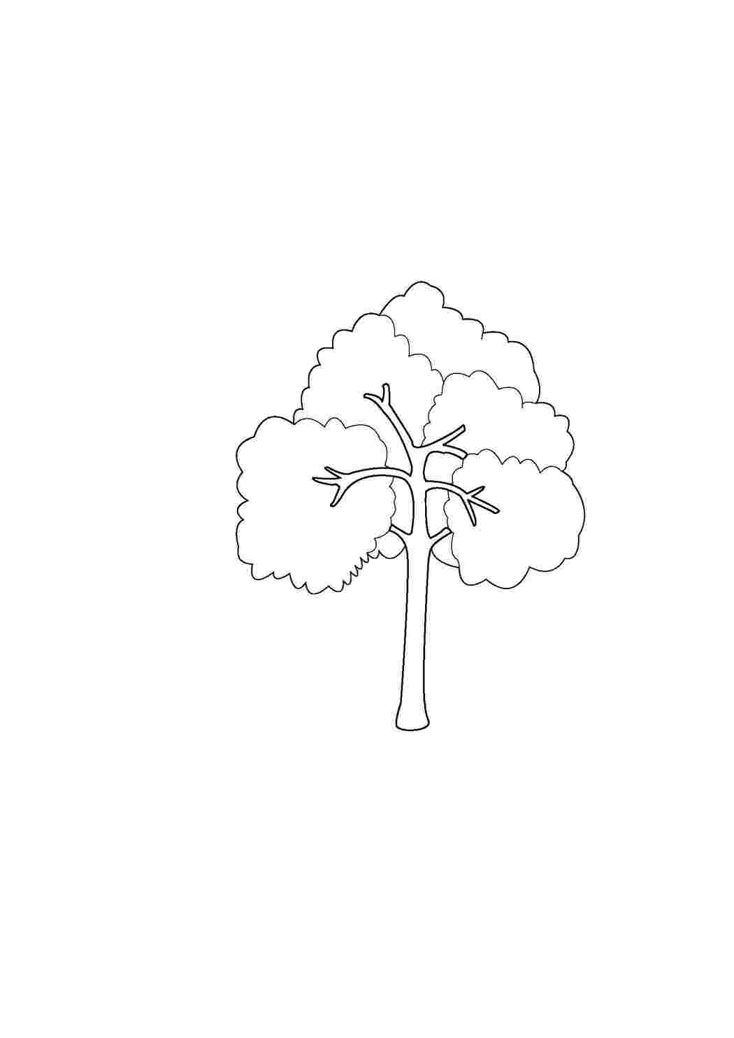 Раскраска Дерево