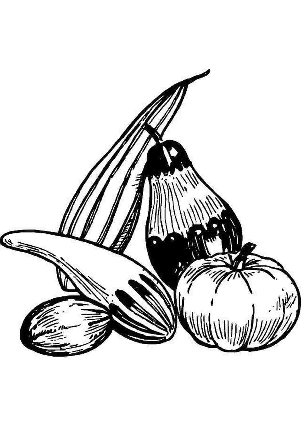 Раскраска Овощи