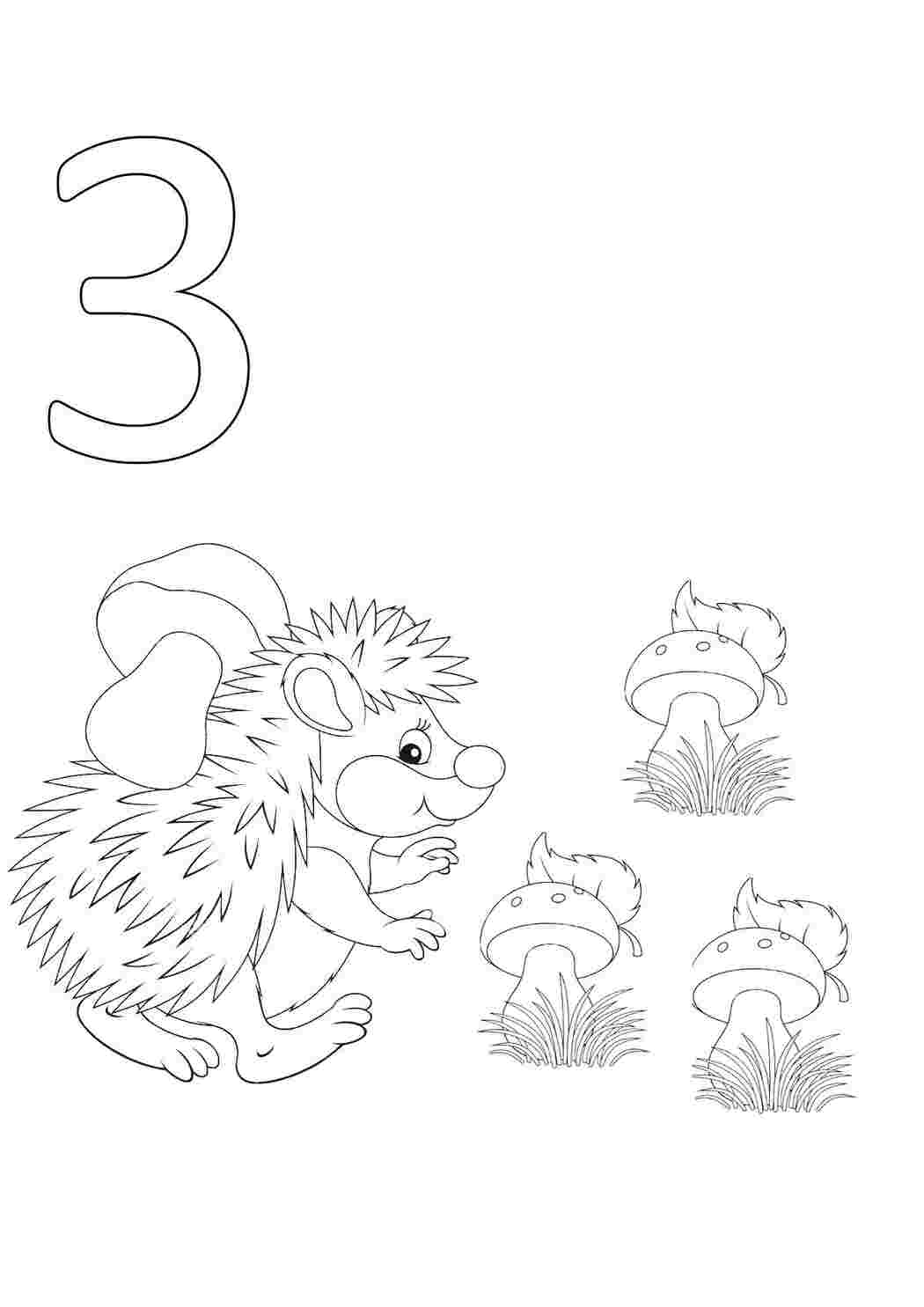 Раскраска Ежик