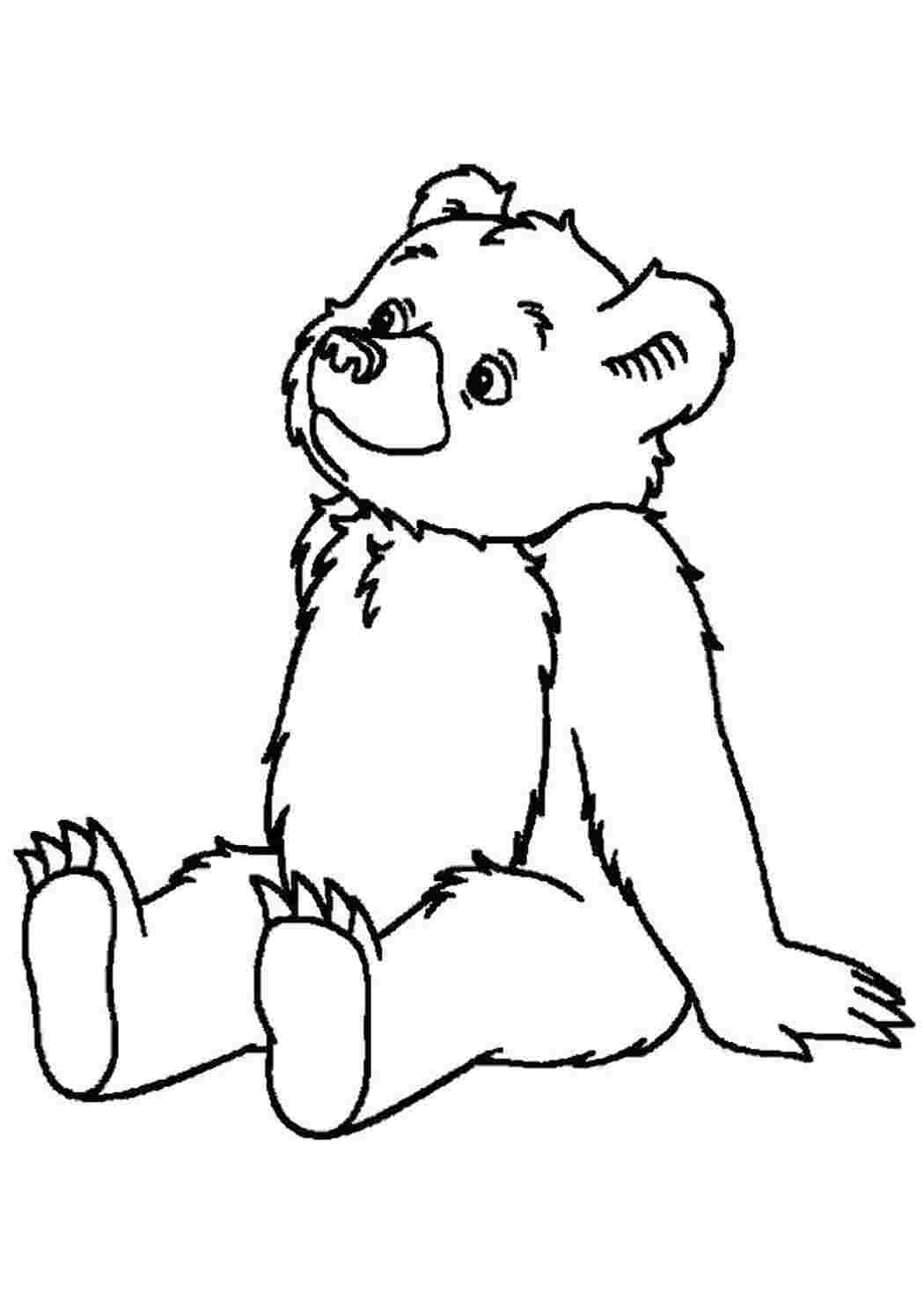 Раскраска Тедди