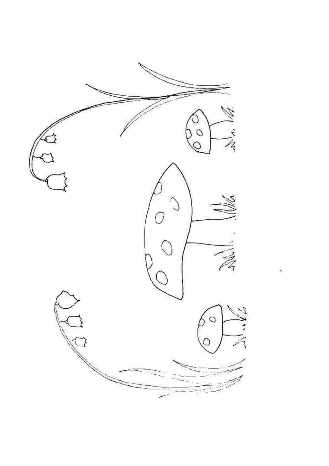 Раскраска Грибы