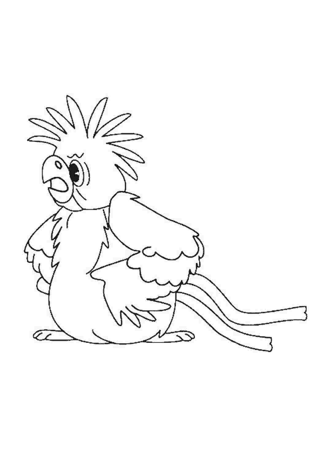 Ворона попугай Кеша раскраска для детей