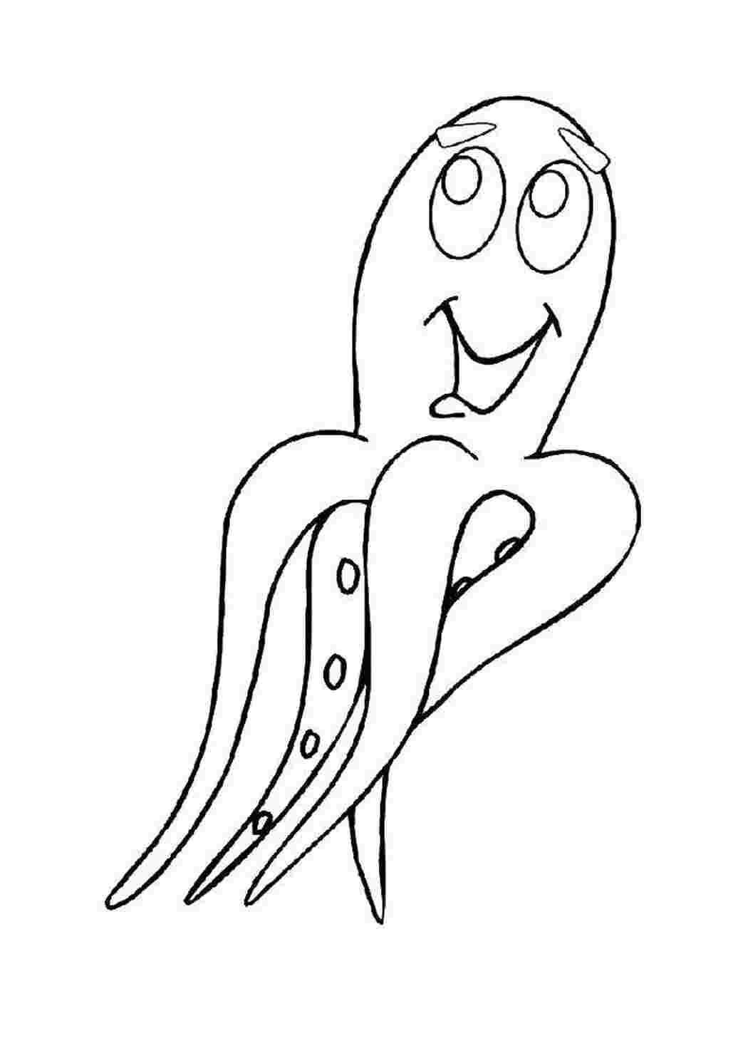 Раскраска Осьминог