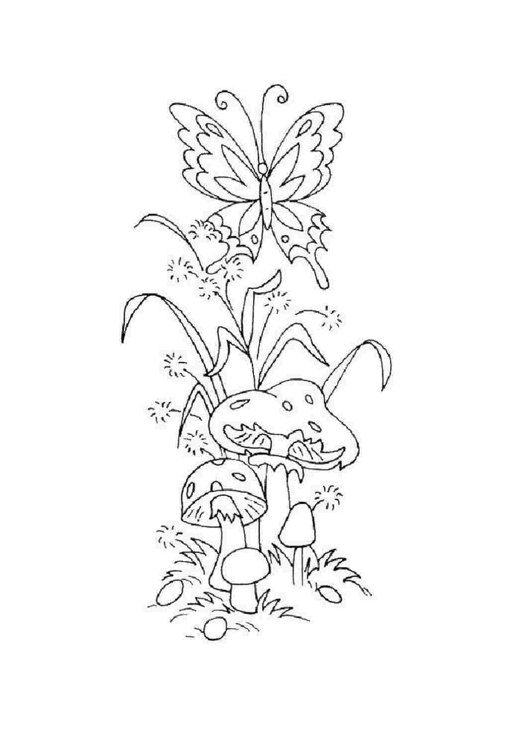 Раскраска Грибы