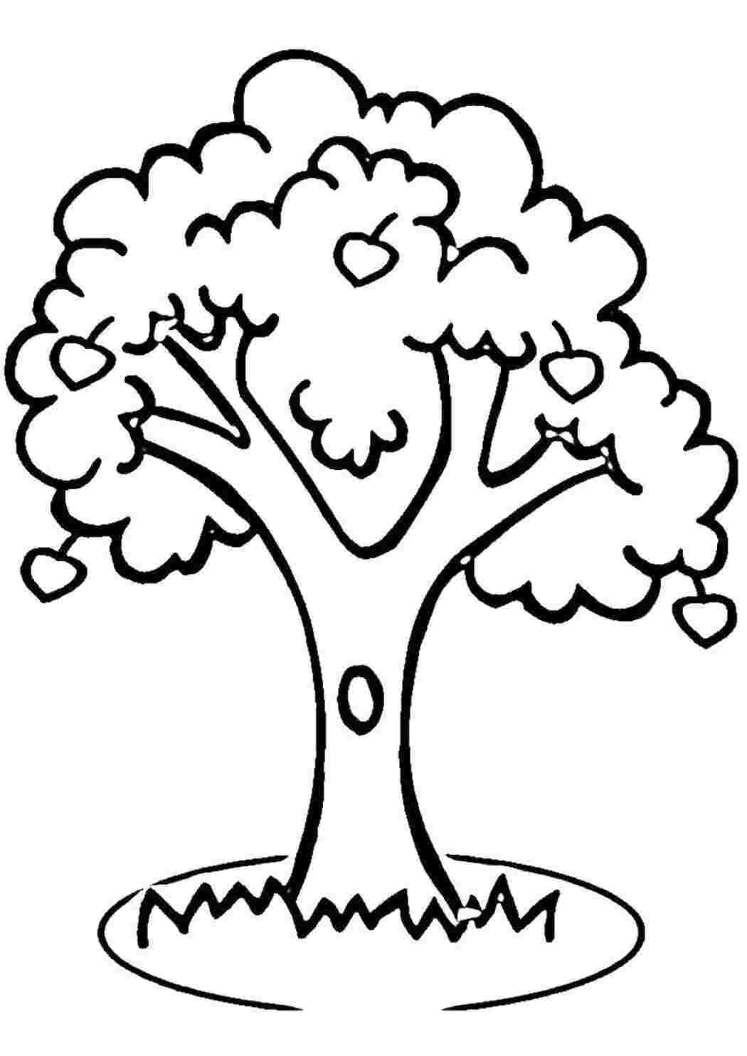 Раскраска Дерево