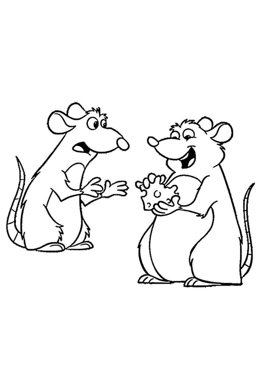 Мышь и крыса раскраска