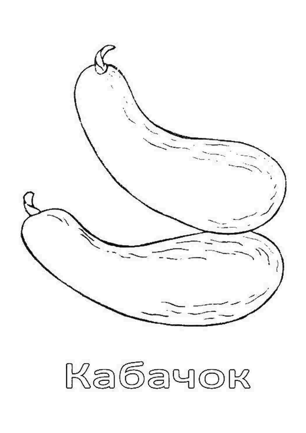 Раскраска Кабачок