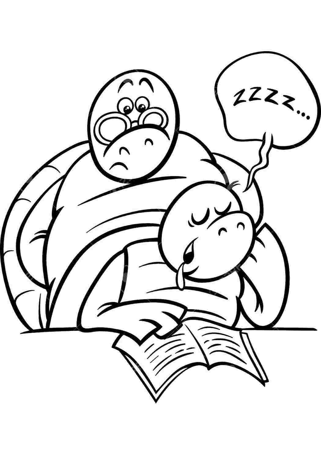 Раскраска Черепаха читает книгу