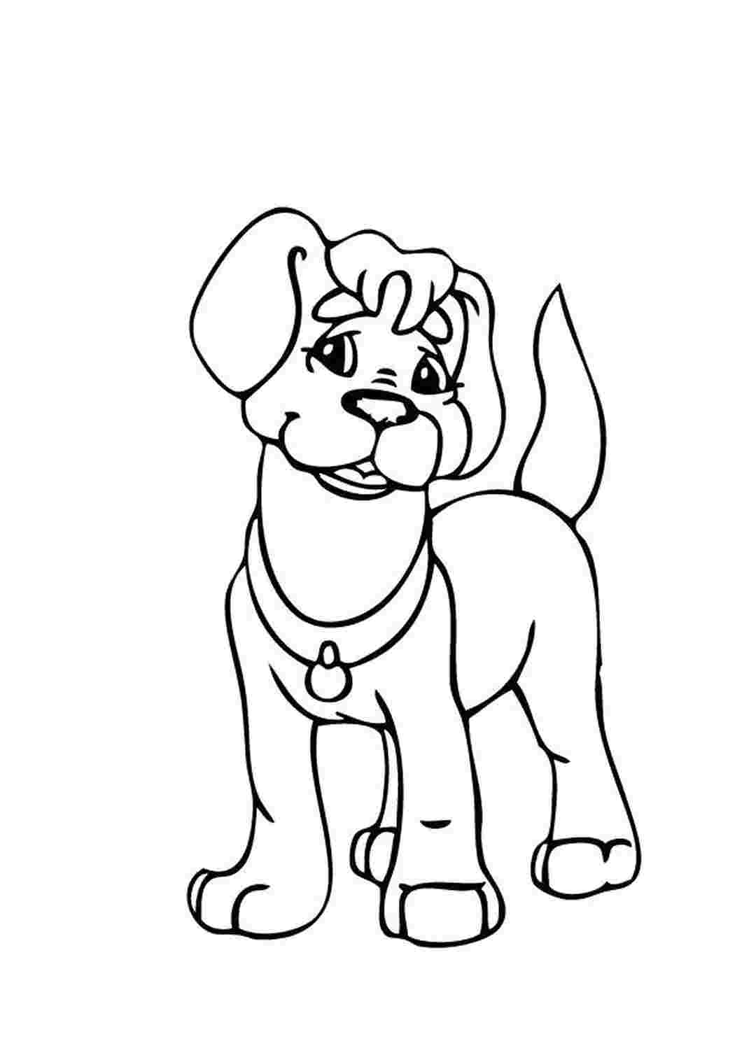 Раскраска собачка. Раскраска бода порода. Собака картинки для детей раскраски. Раскраска "собаки". Собачка раскраска для детей.