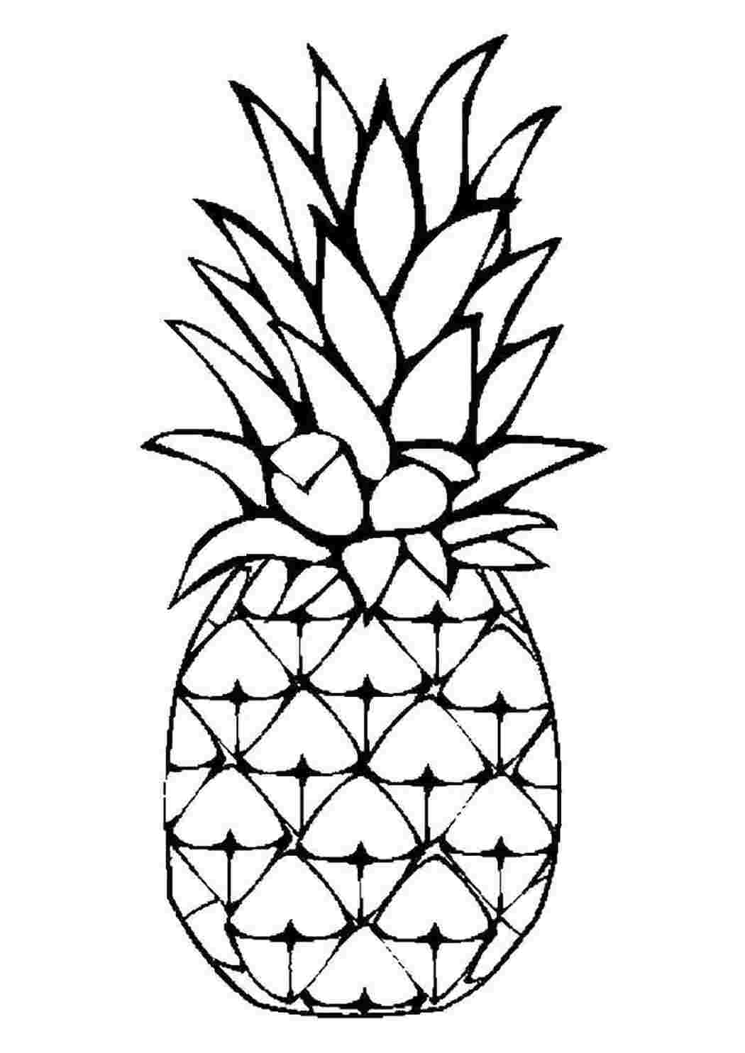 Раскраска Ананас