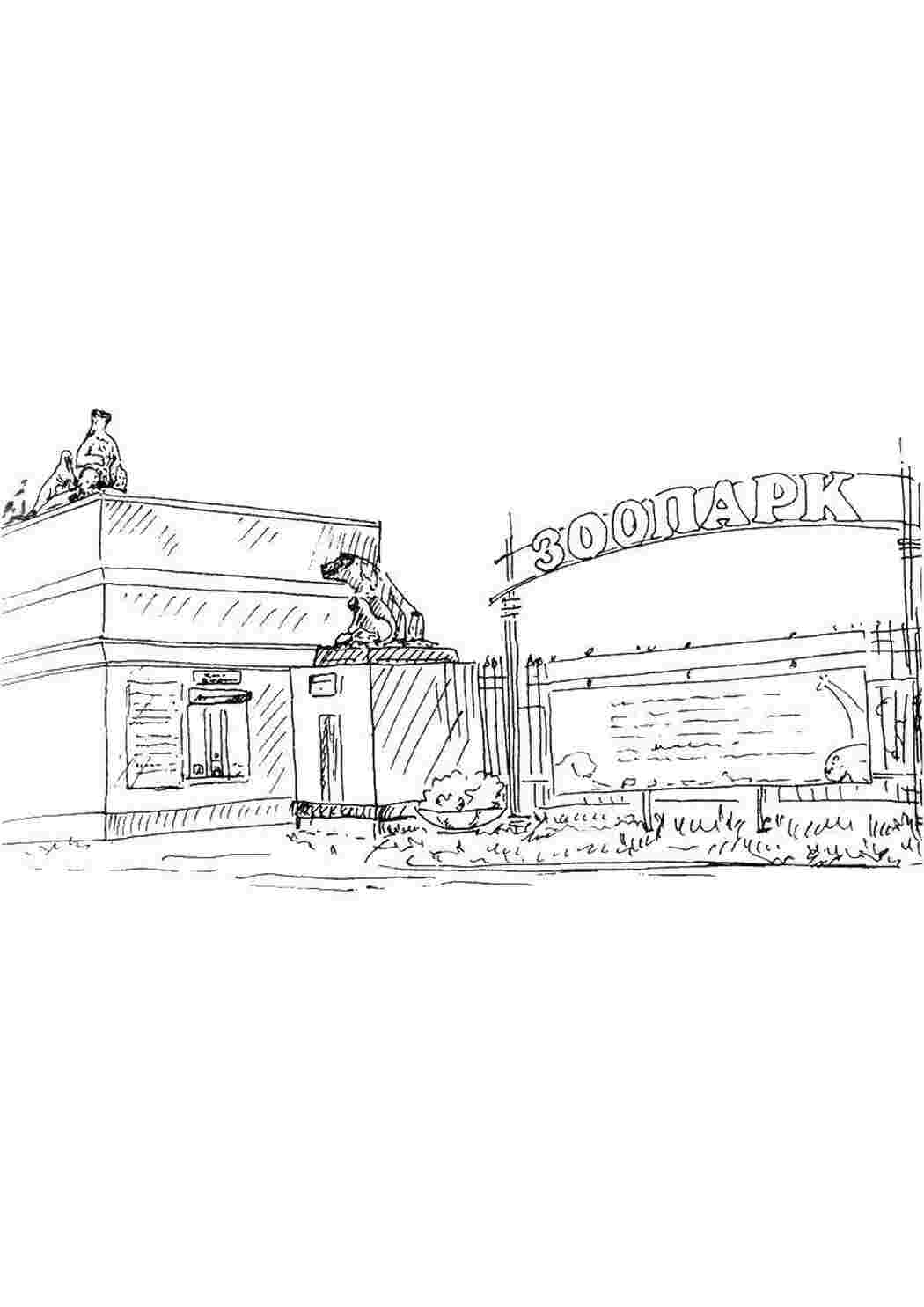 Раскраска Зоопарк