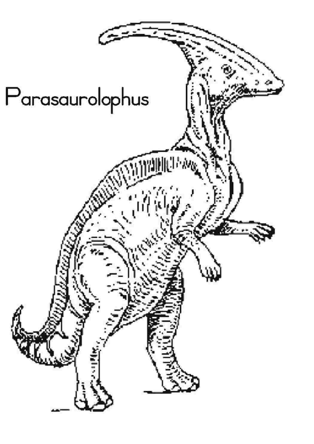 Раскраска Парасоуропхус