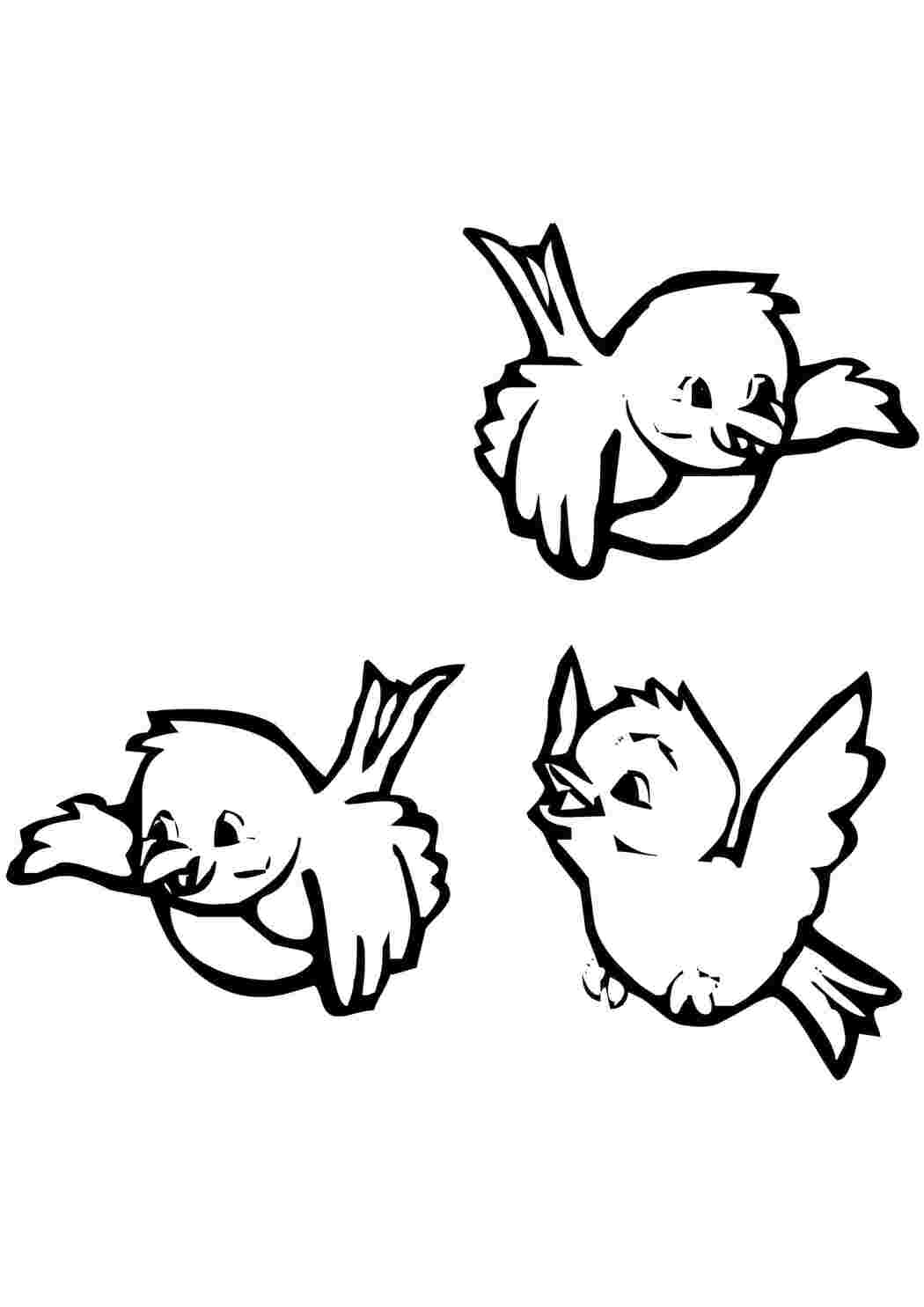 Раскраска Птички