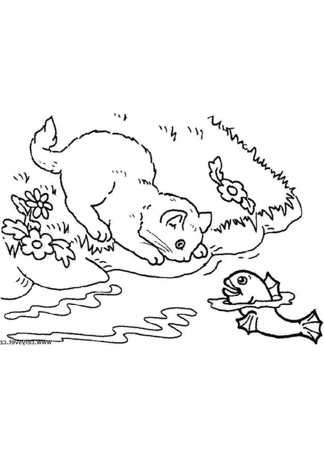 Раскраска Интерес к рыбке