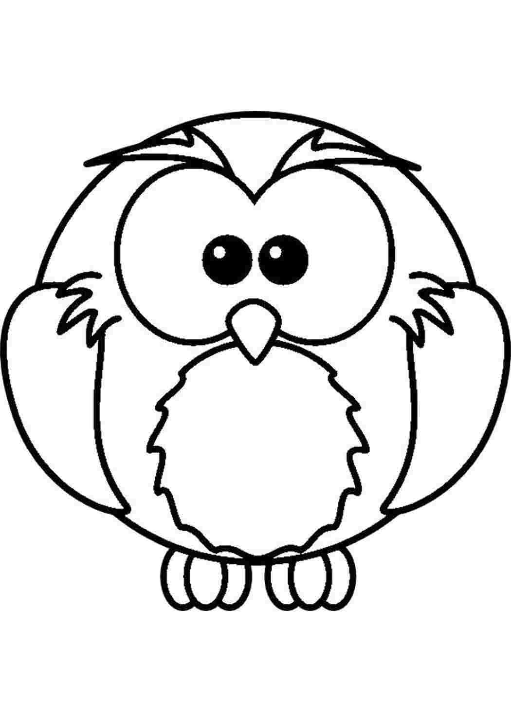 Раскраска Сова