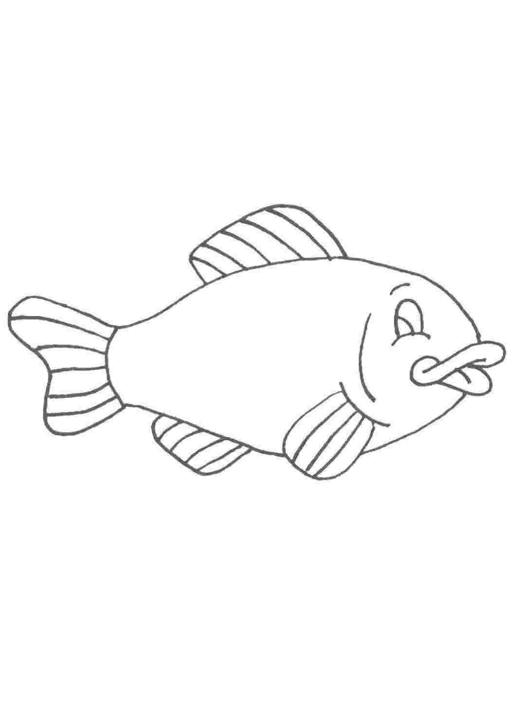 Раскраска Рыбы