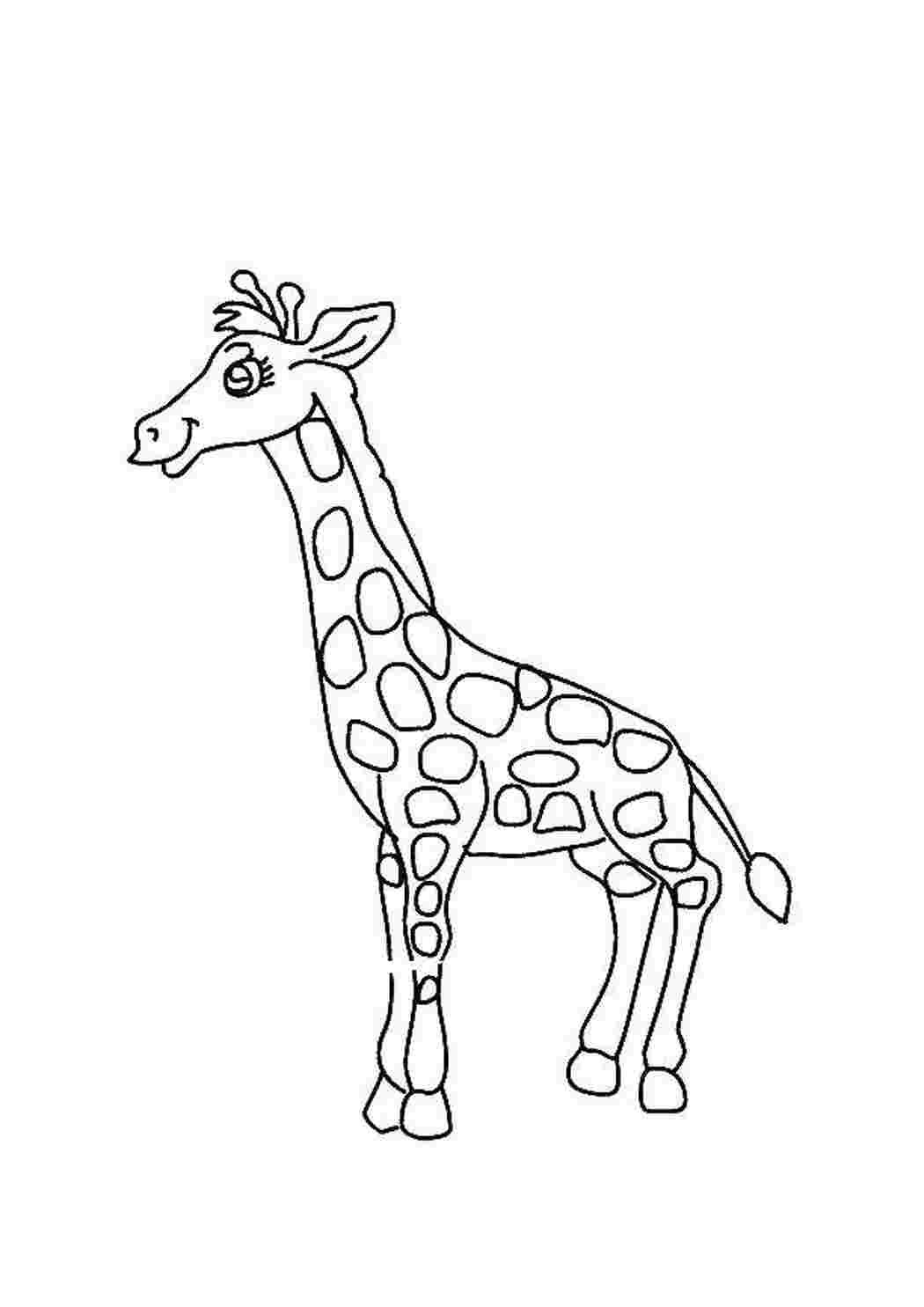 Трафарет жирафа для детей